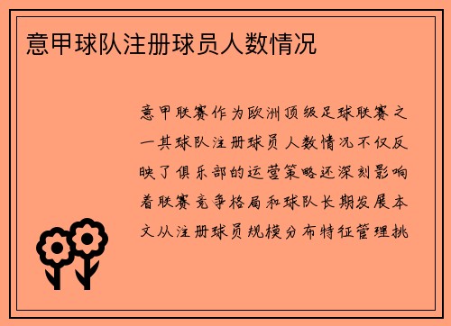 意甲球队注册球员人数情况