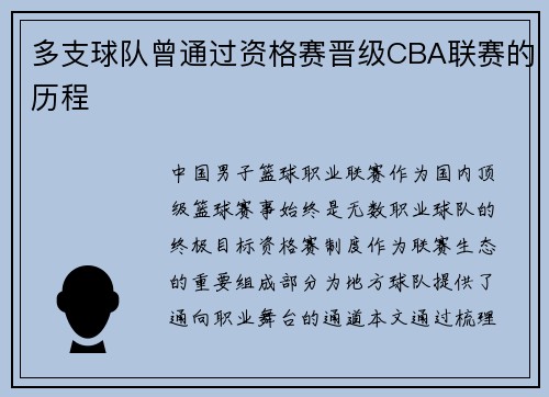 多支球队曾通过资格赛晋级CBA联赛的历程